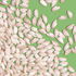 Bio Reis Set